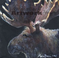 Moose (North America or Elk Eurasia) - 4"x4"
