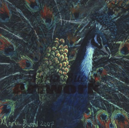 Peacock - 4"x4" Peacocks are symbols of love and a wonderful challenge to paint.